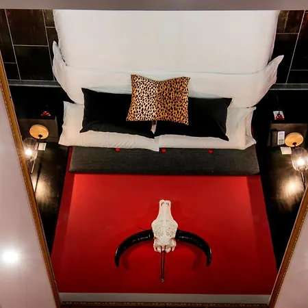 Apartman Molucano *