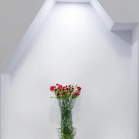 아파트 Molucano *