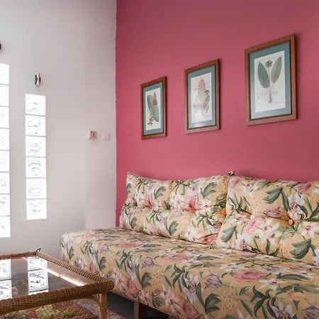 Apartment Molucano