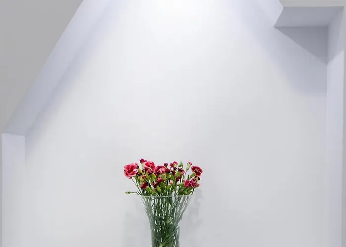 Apartamento Molucano *